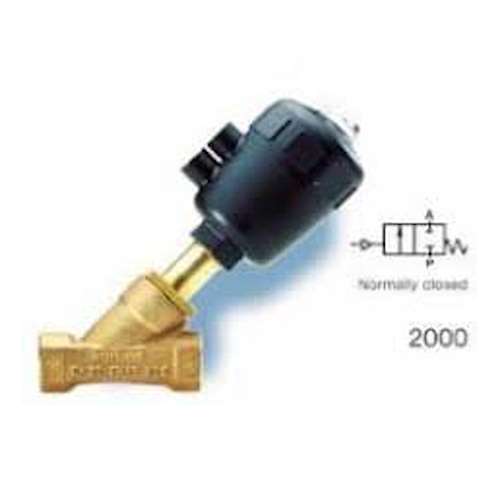 انگل ولو برنجی بورکرت